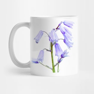 English Bluebell Flowers Mug